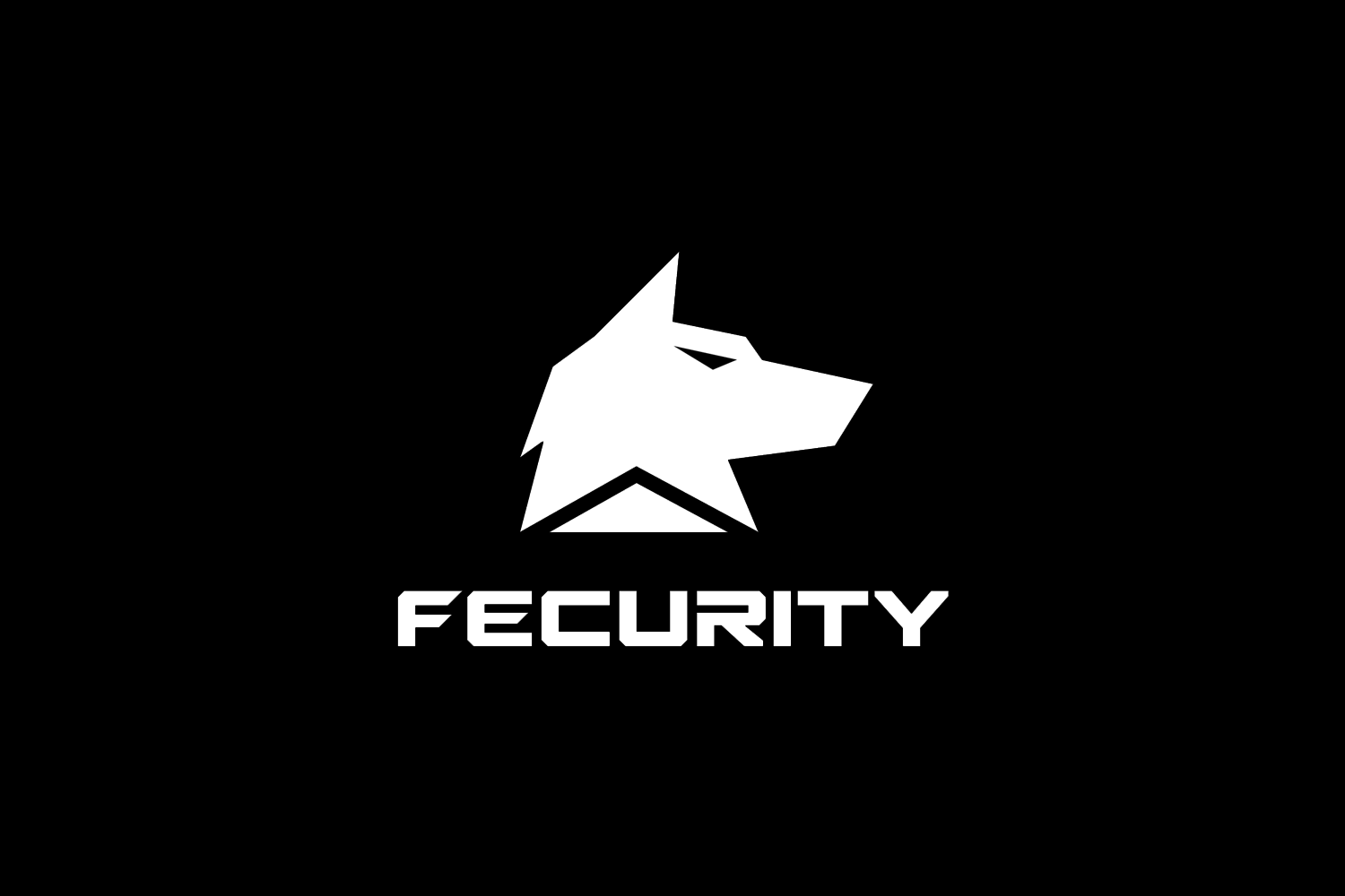 Fecurity : ARC Raiders